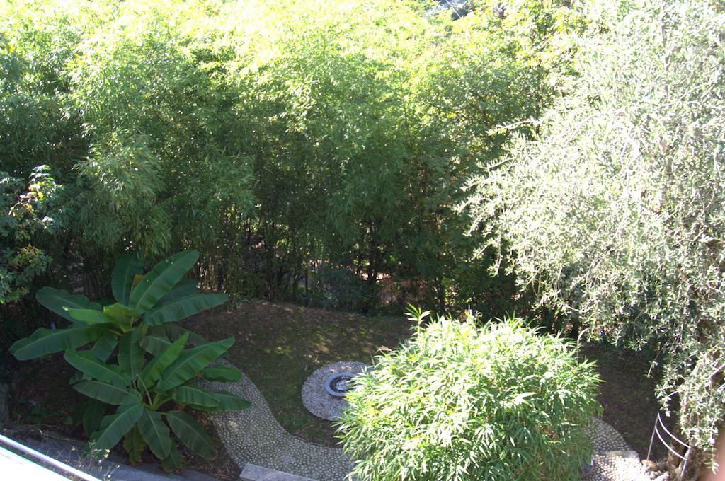 Bed & Breakfast Grand View